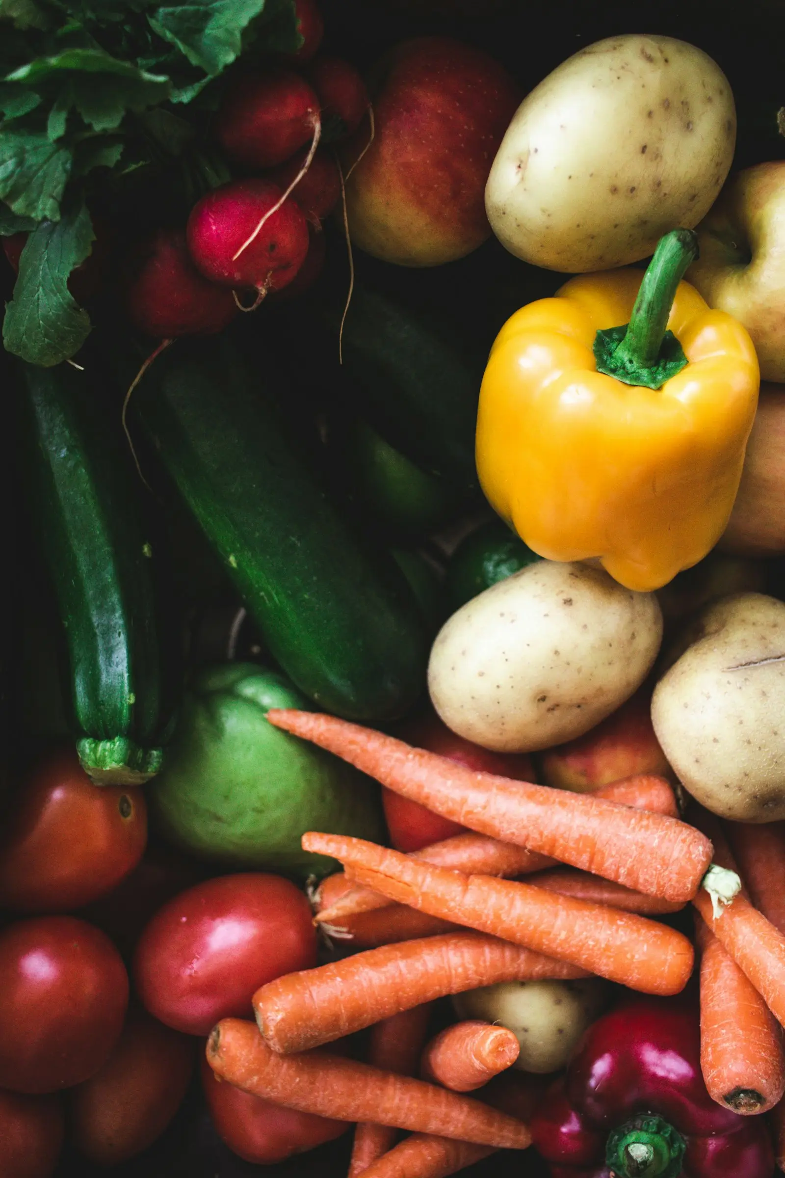 Close-up of carrots, peppers, courgettes and tomatoes, used as produce photography rather than a photograph of company operations