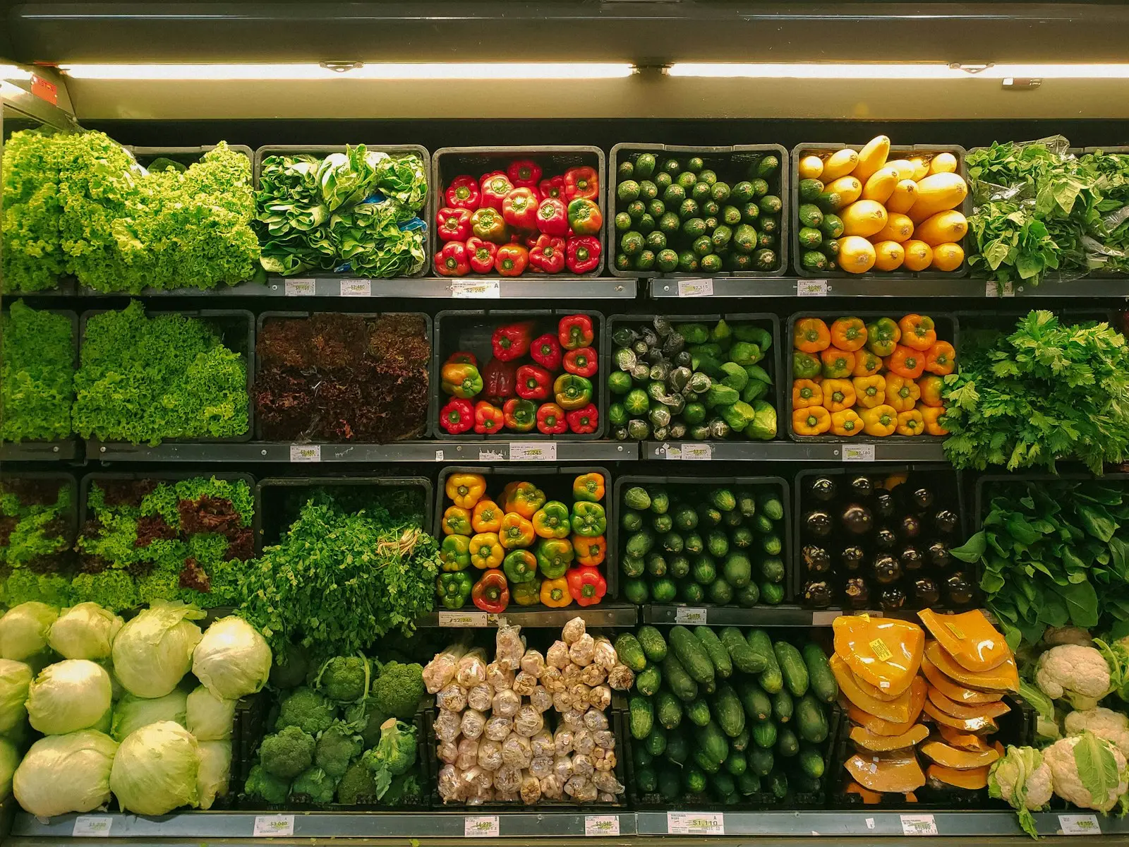 Crates of everyday fruit and vegetables arranged on shelves, shown as illustrative produce photography rather than company stock