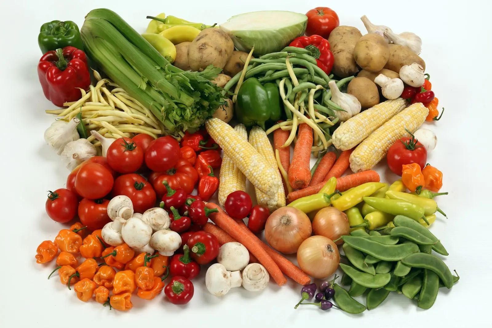 A variety of fresh vegetables including peppers, tomatoes, carrots and beans, shown as illustrative produce photography